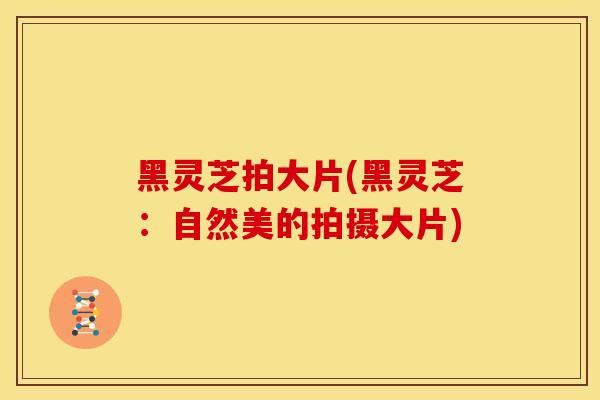 黑灵芝拍大片(黑灵芝：自然美的拍摄大片)