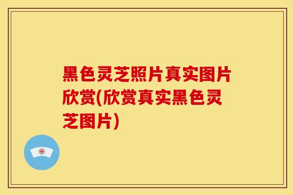 黑色灵芝照片真实图片欣赏(欣赏真实黑色灵芝图片)