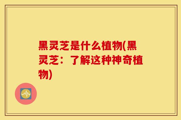 黑灵芝是什么植物(黑灵芝：了解这种神奇植物)