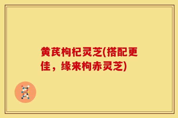 黄芪枸杞灵芝(搭配更佳，缘来枸赤灵芝)