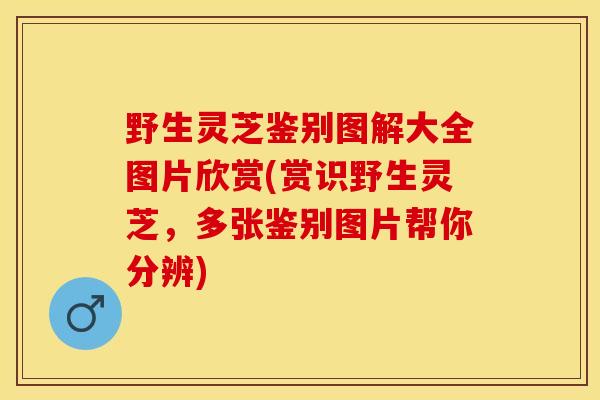 野生灵芝鉴别图解大全图片欣赏(赏识野生灵芝，多张鉴别图片帮你分辨)