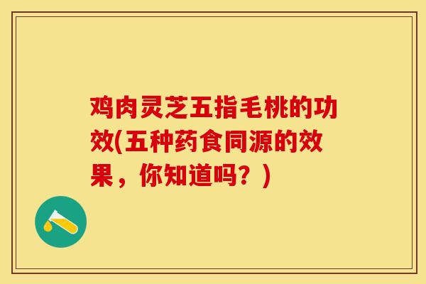 鸡肉灵芝五指毛桃的功效(五种药食同源的效果，你知道吗？)