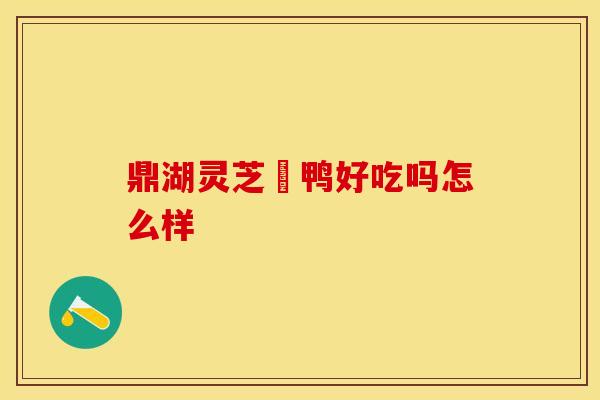 鼎湖灵芝炆鸭好吃吗怎么样