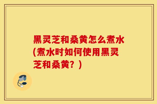 黑灵芝和桑黄怎么煮水(煮水时如何使用黑灵芝和桑黄？)