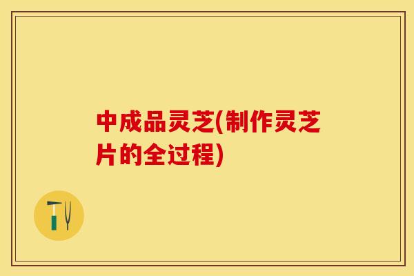 中成品灵芝(制作灵芝片的全过程)
