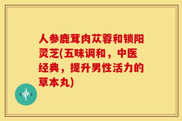 人参鹿茸肉苁蓉和锁阳灵芝(五味调和，中医经典，提升男性活力的草本丸)