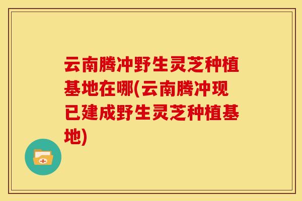 云南腾冲野生灵芝种植基地在哪(云南腾冲现已建成野生灵芝种植基地)