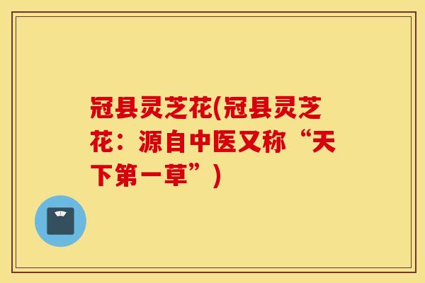 冠县灵芝花(冠县灵芝花：源自中医又称“天下第一草”)