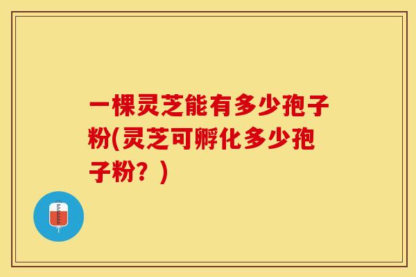 一棵灵芝能有多少孢子粉(灵芝可孵化多少孢子粉？)