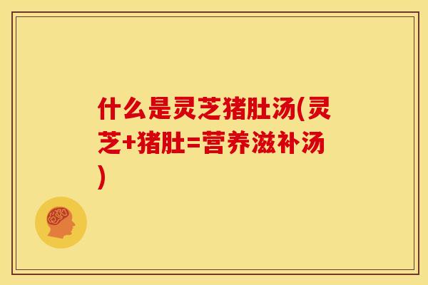 什么是灵芝猪肚汤(灵芝+猪肚=营养滋补汤)