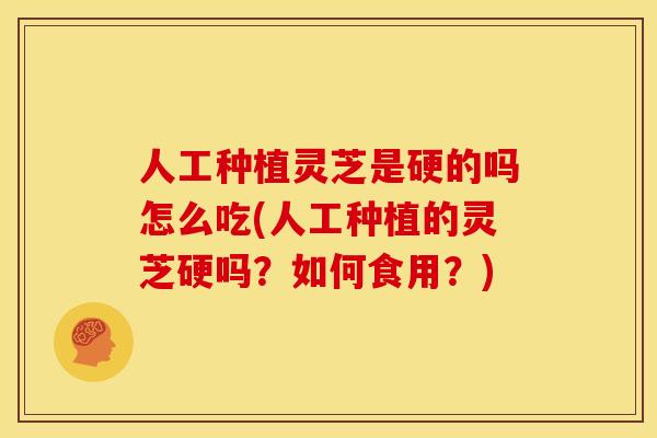 人工种植灵芝是硬的吗怎么吃(人工种植的灵芝硬吗？如何食用？)