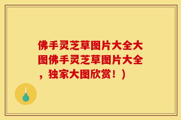 佛手灵芝草图片大全大图佛手灵芝草图片大全,独家大图欣赏!) 佛手灵芝草图片大全大图佛手灵芝草图片大全,独家大图欣赏!)