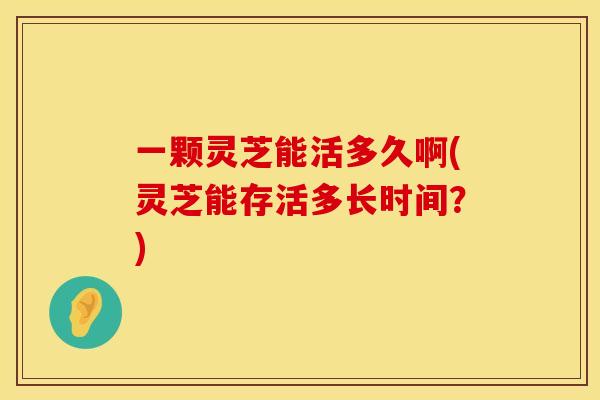 一颗灵芝能活多久啊(灵芝能存活多长时间？)