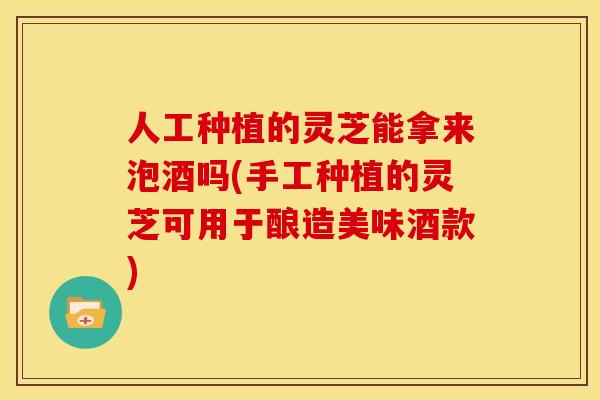 人工种植的灵芝能拿来泡酒吗(手工种植的灵芝可用于酿造美味酒款)