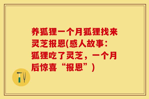 养狐狸一个月狐狸找来灵芝报恩(感人故事:狐狸吃了灵芝,一个月后惊喜“报恩”) 养狐狸一个月狐狸找来灵芝报恩(感人故事:狐狸吃了灵芝,一个月后惊喜“报恩”)
