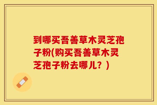 到哪买吾善草木灵芝孢子粉(购买吾善草木灵芝孢子粉去哪儿？)