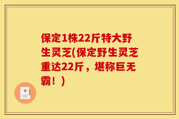 保定1株22斤特大野生灵芝(保定野生灵芝重达22斤，堪称巨无霸！)