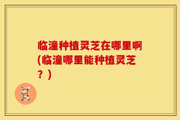 临潼种植灵芝在哪里啊(临潼哪里能种植灵芝？)