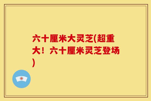 六十厘米大灵芝(超重大!六十厘米灵芝登场) 六十厘米大灵芝(超重大!六十厘米灵芝登场)