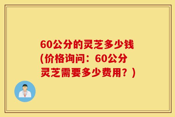 60公分的灵芝多少钱(价格询问：60公分灵芝需要多少费用？)