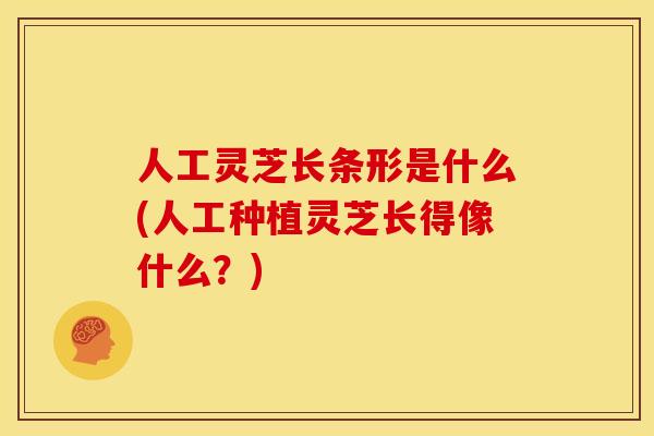 人工灵芝长条形是什么(人工种植灵芝长得像什么？)