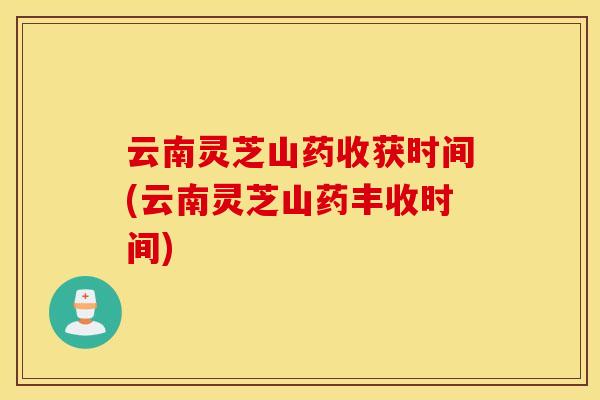 云南灵芝山药收获时间(云南灵芝山药丰收时间)
