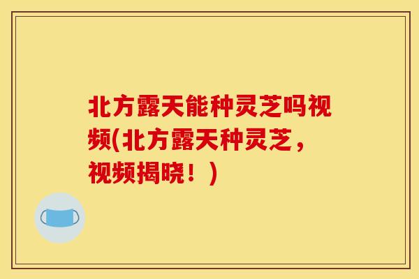 北方露天能种灵芝吗视频(北方露天种灵芝，视频揭晓！)