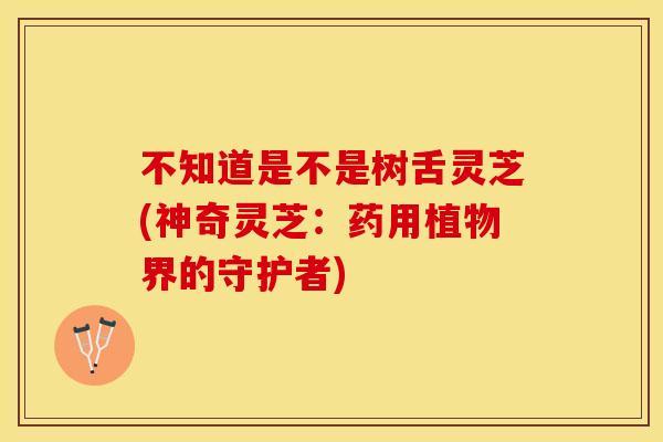 不知道是不是树舌灵芝(神奇灵芝：药用植物界的守护者)