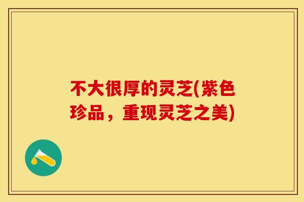 不大很厚的灵芝(紫色珍品，重现灵芝之美)