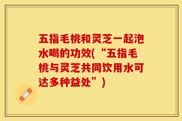 五指毛桃和灵芝一起泡水喝的功效(“五指毛桃与灵芝共同饮用水可达多种益处”)