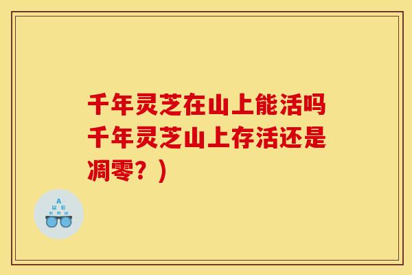 千年灵芝在山上能活吗千年灵芝山上存活还是凋零？)