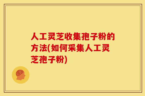 人工灵芝收集孢子粉的方法(如何采集人工灵芝孢子粉)