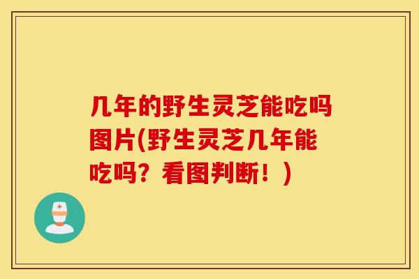 几年的野生灵芝能吃吗图片(野生灵芝几年能吃吗？看图判断！)