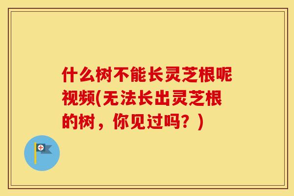 什么树不能长灵芝根呢视频(无法长出灵芝根的树，你见过吗？)