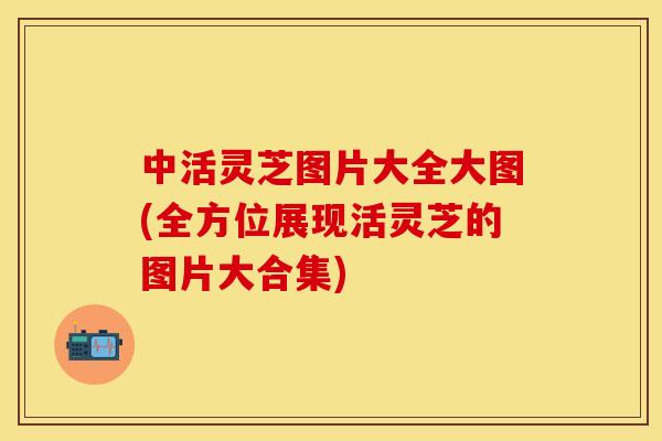 中活灵芝图片大全大图(全方位展现活灵芝的图片大合集)