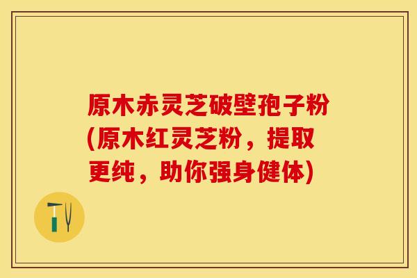 原木赤灵芝破壁孢子粉(原木红灵芝粉，提取更纯，助你强身健体)