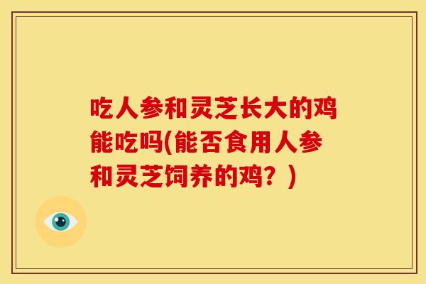 吃人参和灵芝长大的鸡能吃吗(能否食用人参和灵芝饲养的鸡？)