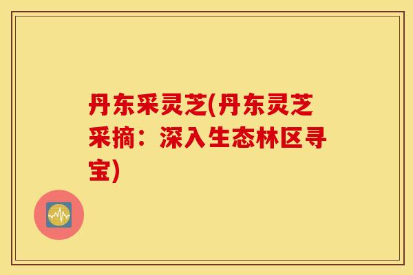 丹东采灵芝(丹东灵芝采摘:深入生态林区寻宝) 丹东采灵芝(丹东灵芝采摘:深入生态林区寻宝)