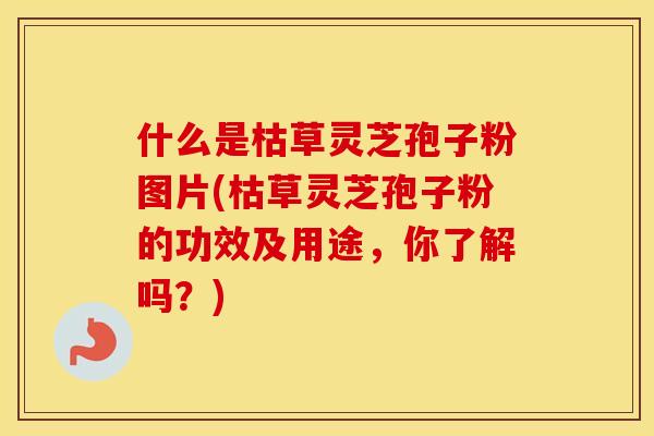什么是枯草灵芝孢子粉图片(枯草灵芝孢子粉的功效及用途，你了解吗？)