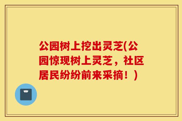 公园树上挖出灵芝(公园惊现树上灵芝，社区居民纷纷前来采摘！)