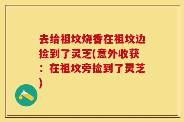 去给祖坟烧香在祖坟边捡到了灵芝(意外收获：在祖坟旁捡到了灵芝)