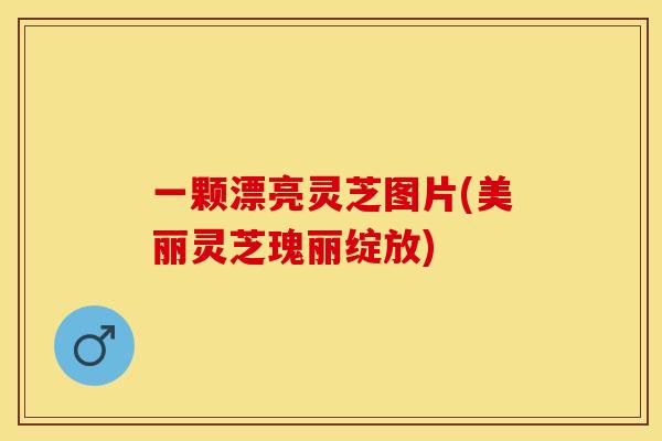 一颗漂亮灵芝图片(美丽灵芝瑰丽绽放)