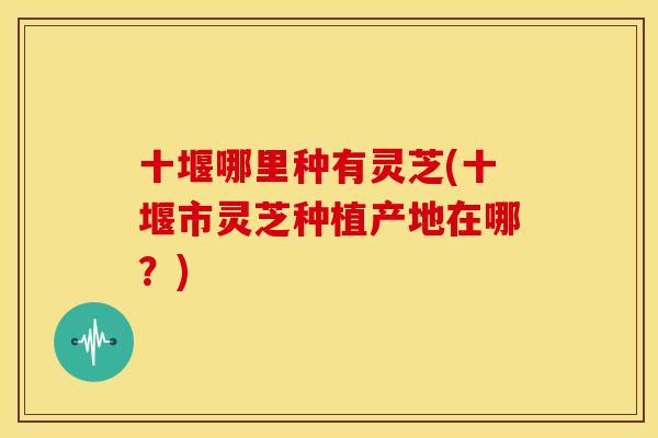十堰哪里种有灵芝(十堰市灵芝种植产地在哪？)