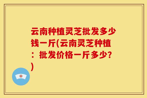 云南种植灵芝批发多少钱一斤(云南灵芝种植：批发价格一斤多少？)