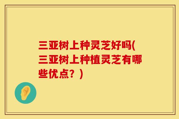 三亚树上种灵芝好吗(三亚树上种植灵芝有哪些优点?) 三亚树上种灵芝好吗(三亚树上种植灵芝有哪些优点?)
