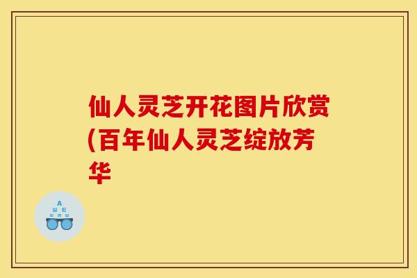 仙人灵芝开花图片欣赏(百年仙人灵芝绽放芳华