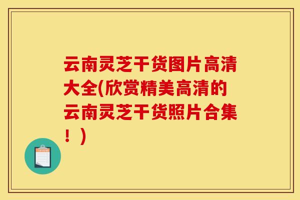 云南灵芝干货图片高清大全(欣赏精美高清的云南灵芝干货照片合集！)