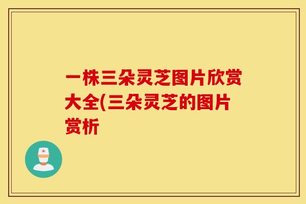 一株三朵灵芝图片欣赏大全(三朵灵芝的图片赏析