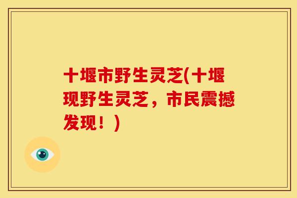 十堰市野生灵芝(十堰现野生灵芝，市民震撼发现！)