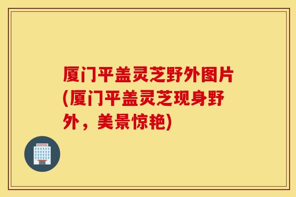 厦门平盖灵芝野外图片(厦门平盖灵芝现身野外，美景惊艳)